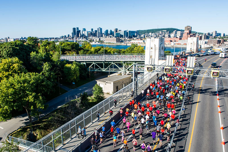 Départ Marathon de Montréal 2016